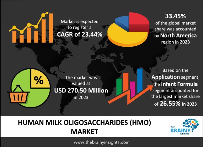 Human Milk Oligosaccharides (HMO) Market Size